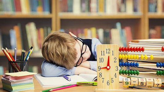 Improve Your Ability to Learn and Retain Information by Prioritizing Sleep